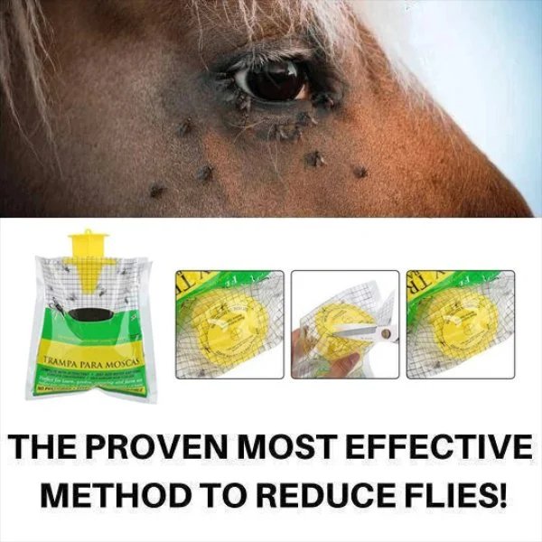 (🔥SUMMER HOT SALE)2022 New Multi-Use Ranch Fly Trap-♻ Concentrate on Pesky Flies
