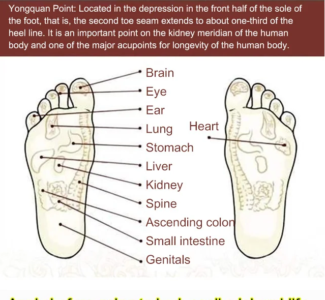🌿Anti-Swelling Detoxing Foot Patch👣